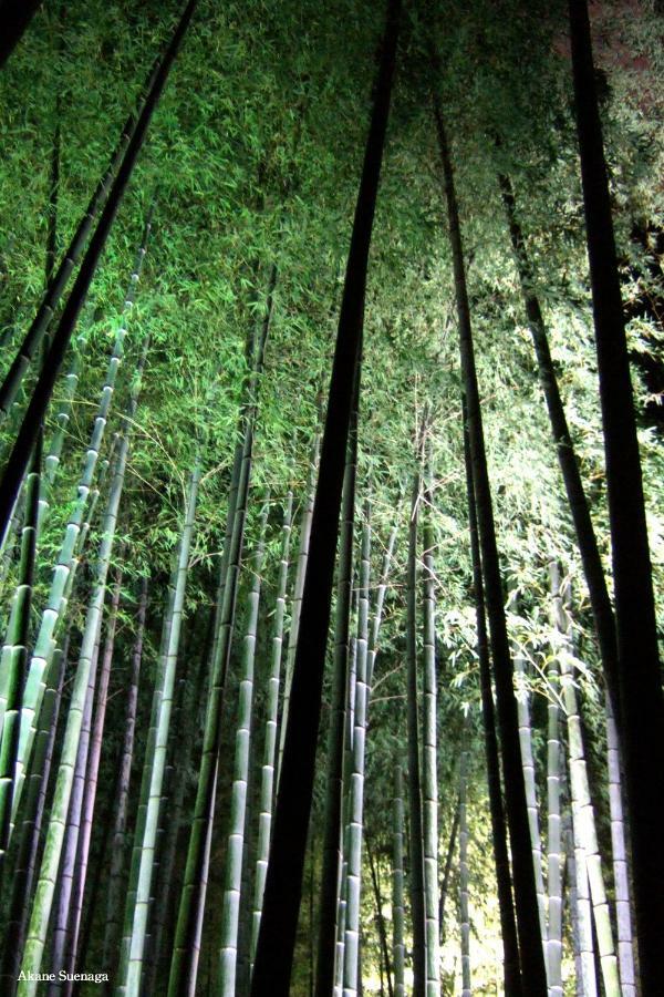 Kyoto Home Tofukuji Екстериор снимка
